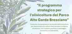 Programma strategico per l\'olivicoltura del Parco Alto Garda Bresciano