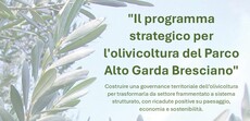 Programma strategico per l\'olivicoltura del Parco Alto Garda Bresciano